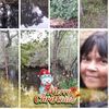 Brenda Lambert brisson - @brendalee1957nc - Poshmark